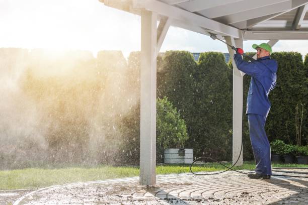 Pre-Holiday Cleaning in West Park, FL